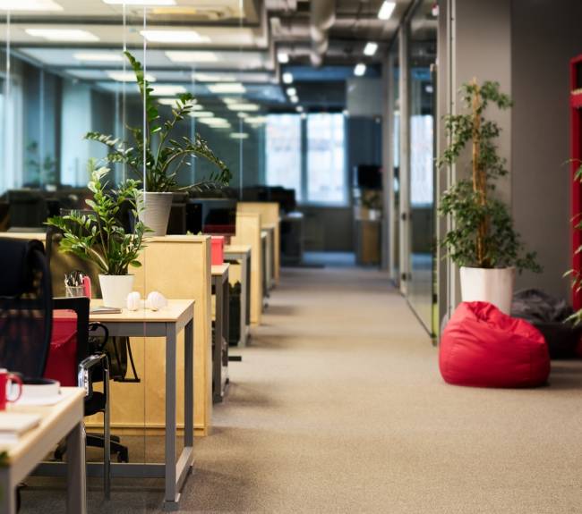 Part of spacious office with long aisle and row of desks with business supplies and green plants standing by walls and on workplaces